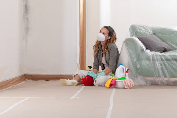 Reliable Mold Remediation contractor in Jefferson, OR by Mold Remediation HQ